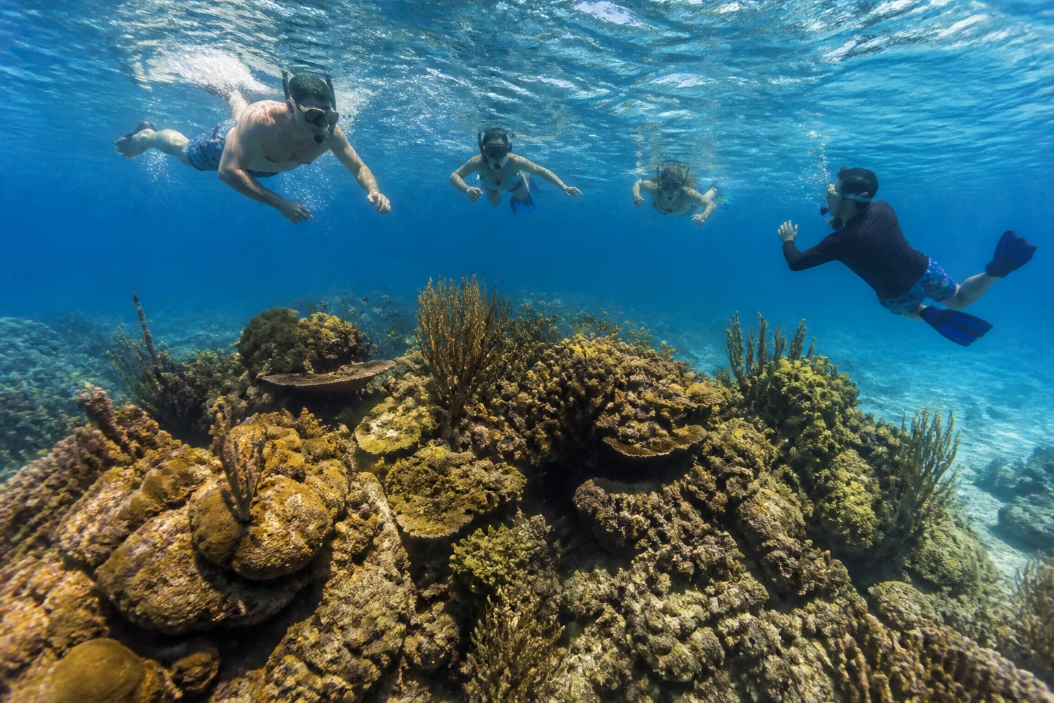 Snorkelers keeping a safe distance above coral in Cozumel