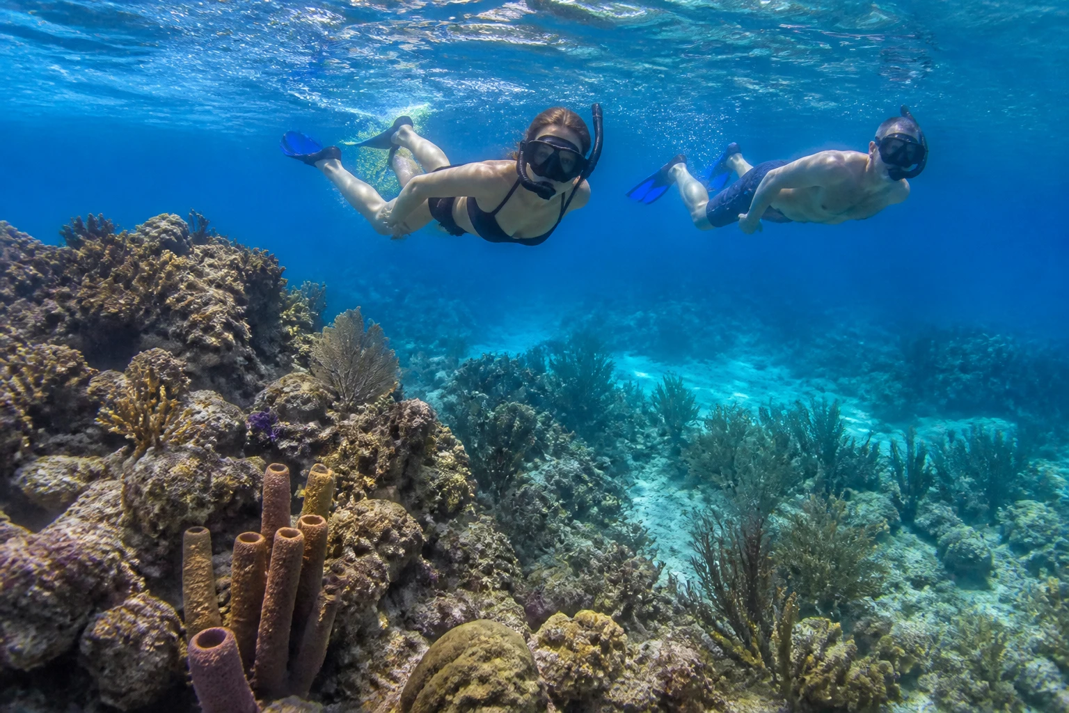 Snorkelers exploring a reef near Cozumel during a holiday trip