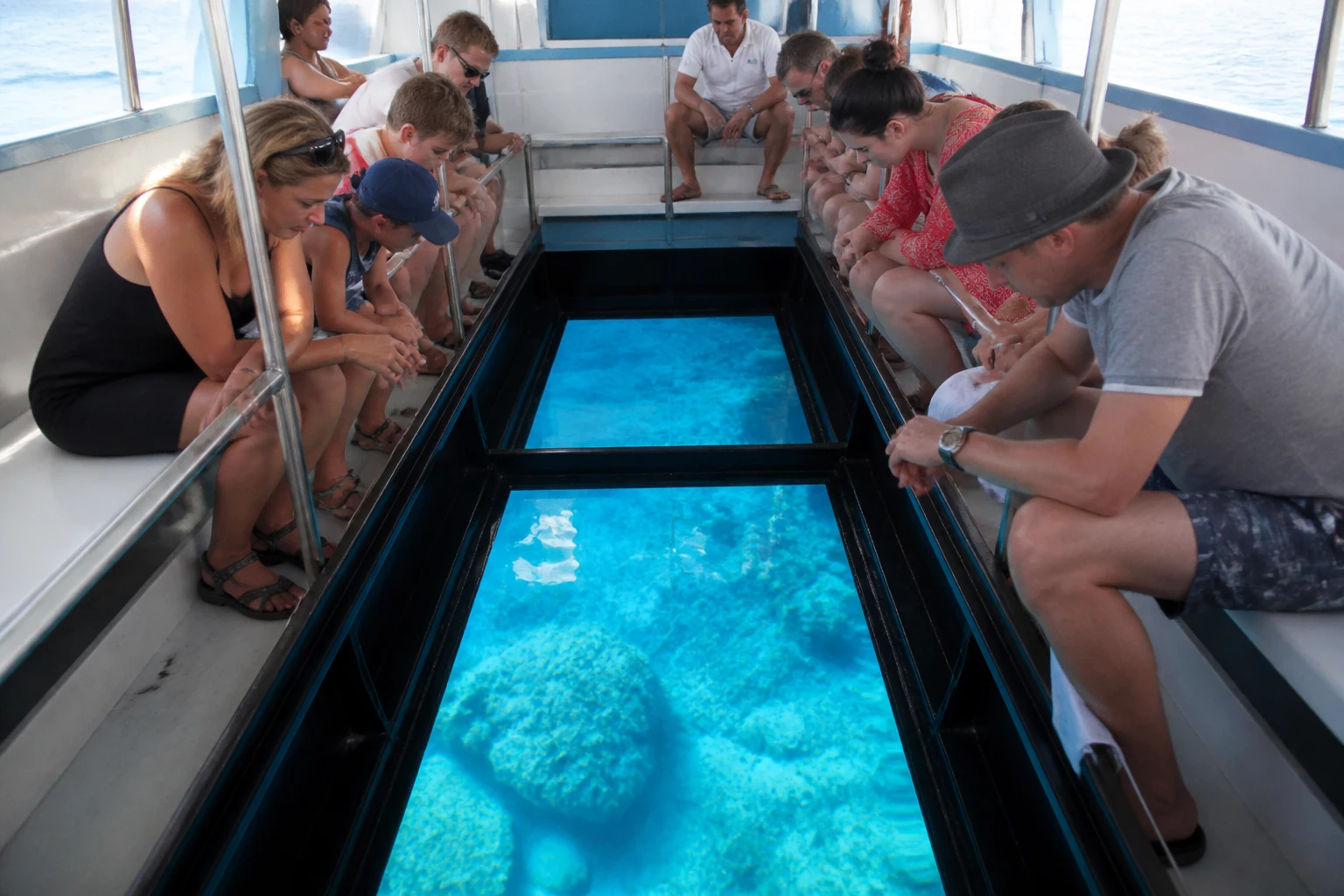 Passengers looking through a glass-bottom boat viewing panel