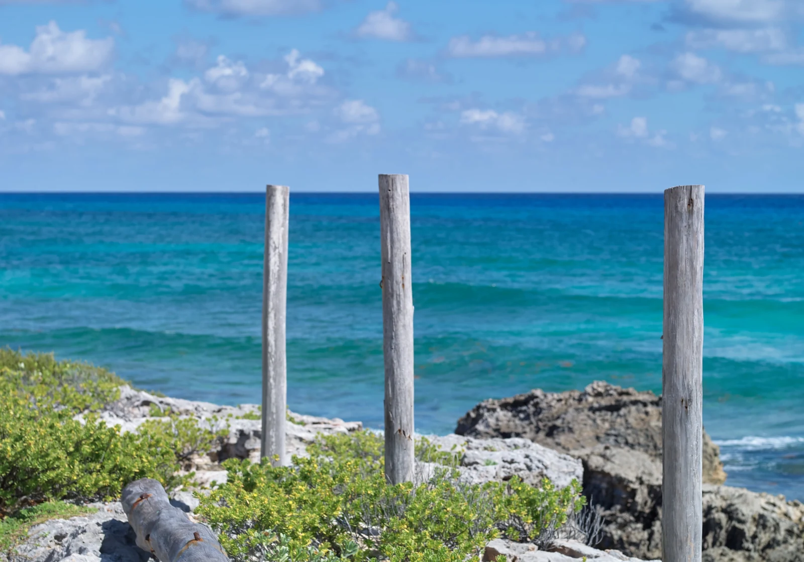 Wild east coast of Cozumel with empty beach and coastal road