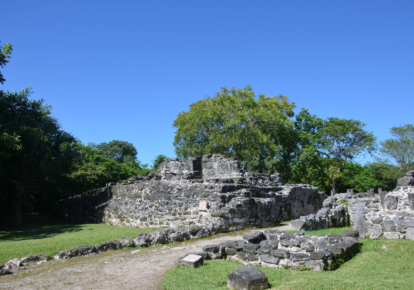 San Gervasio Mayan ruins surrounded by jungle on Cozumel