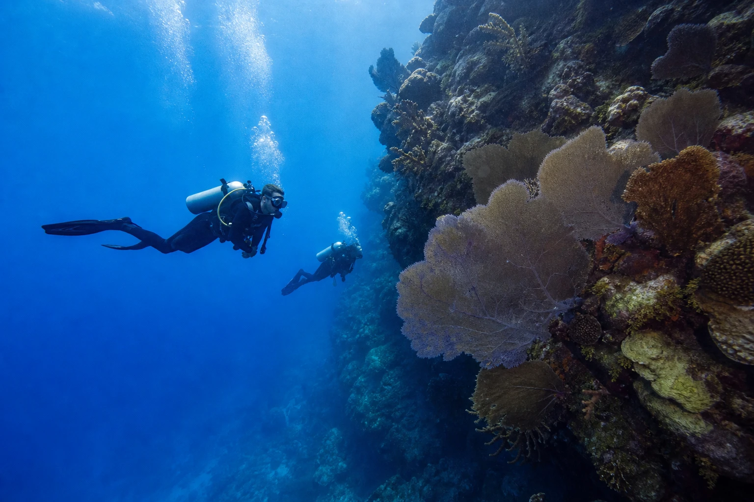Scuba divers maintaining buoyancy beside a coral wall in Cozumel