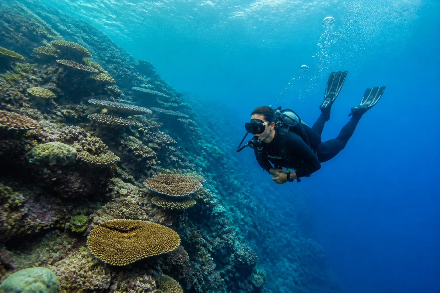 A scuba diver keeping fins and equipment clear of coral